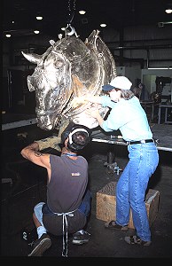 Bronze equine sculpture by Martha Pettigrew