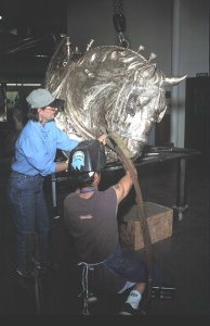 Bronze equine sculpture by Martha Pettigrew